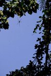 IMG_5353