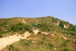 IMG_5382