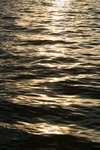 img 151