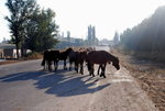 �E�p��������