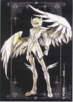 11cygne