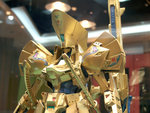 GOLD5STAR005