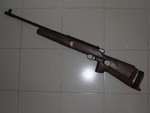 gun5