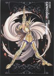 06capricorne
