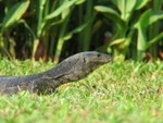 IMG_2010