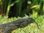 IMG_2011
