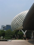 'Durian' Esplanade
IMG_1995