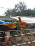 IMG_5085