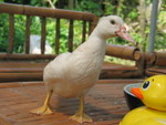 IMG_1570