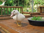IMG_1571