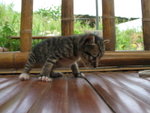 IMG_6035    @week2