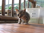 IMG_6134    @week3