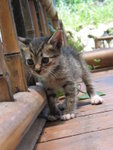IMG_6731   @week5