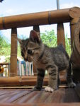 
IMG_6803@6weeks