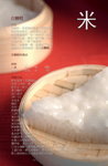 finalproject04
