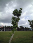4500-CH-2002-DSC002626-USM