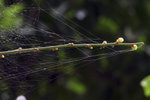 IMG_4984-021105