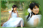 theme 7049b