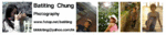 pbanner2