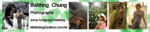pbanner3