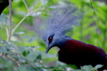 �������ƫa��