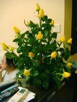 080429-03(Day01)