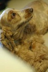 040905-04