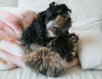 2007-01-28
�n��瞓