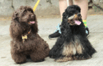 100515_look