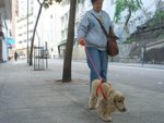 Having a walk outside the vet

061221-013