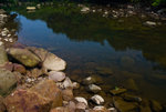 DSC_3637s