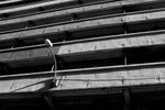 DSC_1105s