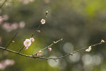 DSC_5829s