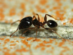 DSC_4048s.jpg
