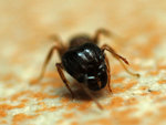 DSC_4060s.jpg