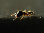 DSC_4106s.jpg