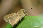DSC_4153s.jpg