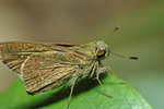 DSC_4154s.jpg