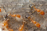 DSC_4457s.jpg