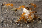 DSC_4468s.jpg