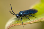 DSC_5664s.jpg