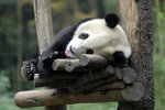 DSC_0998s