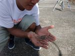 DSCF1264