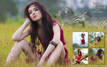 Wild Animal 1680x1050 