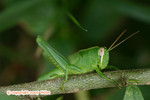 IMG_9316 copy