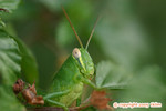 IMG_9336 copy