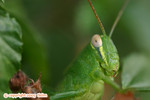 IMG_9337 copy