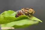 IMG_9360 copy