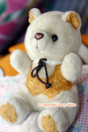 IMG_9303 copy