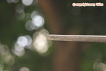 IMG_9356 copy